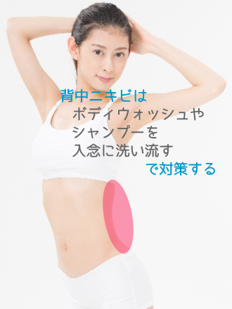 �w���j�L�r,����,�΍�,�V�����v�[�c��,�H����,�玉