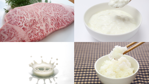 �j�L�r,����,�΍�,�H��,��,����,�����i,�Y������